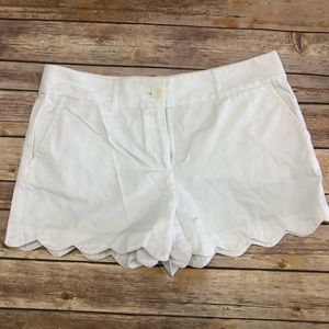 Loft Scalloped Shorts